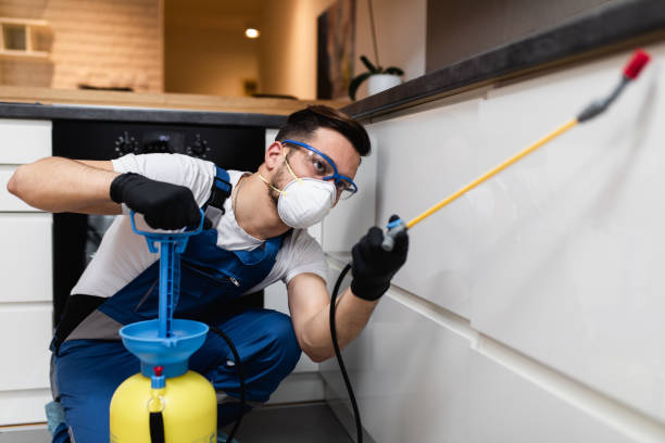 Best Cockroach Control Services  in Suncook, NH