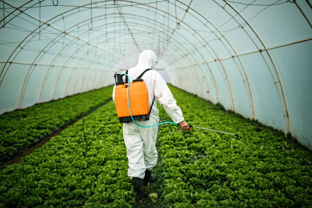 Best Best Pest Control Companies  in Suncook, NH
