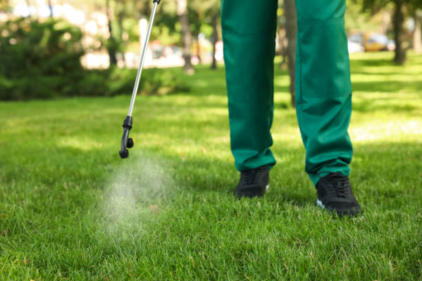 Best Pest Removal Services  in Suncook, NH