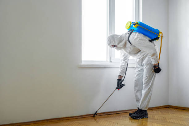 Best Emergency Pest Control  in Suncook, NH