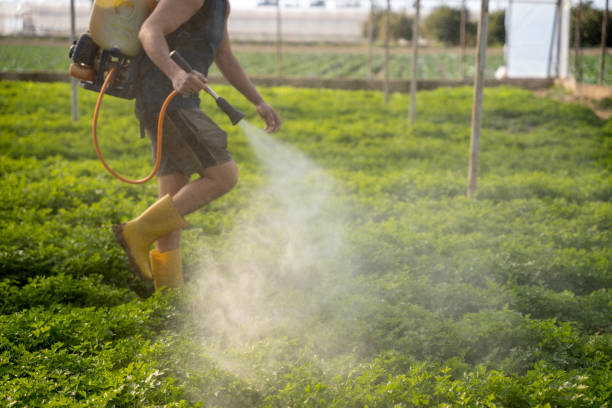 Best Pest Prevention Services  in Suncook, NH